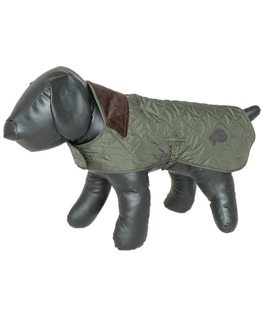 puppy barbour coat