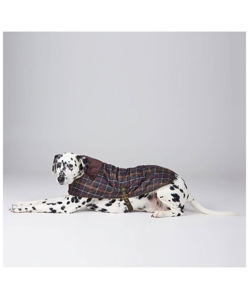 barbour packaway dog coat