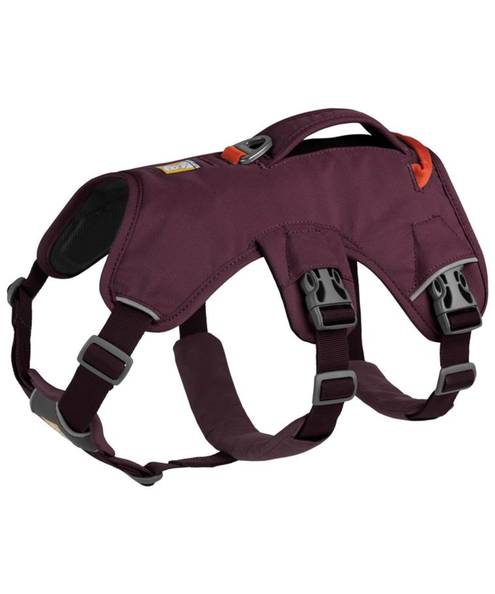 View Ruffwear Web Master MultiUse Dog Harness Purple Rain 5669cm information