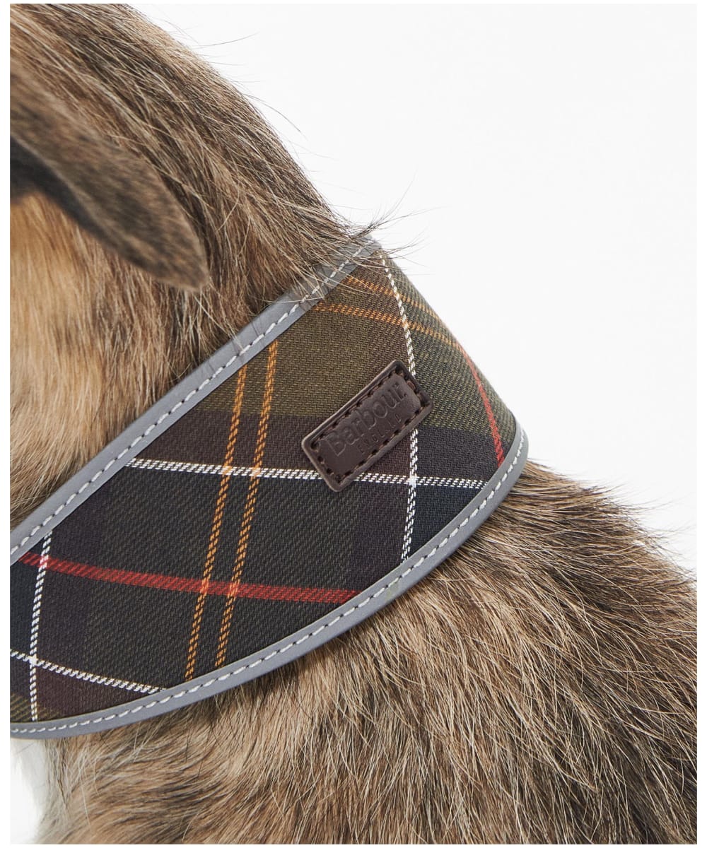 Barbour Comfort Lurcher Collar