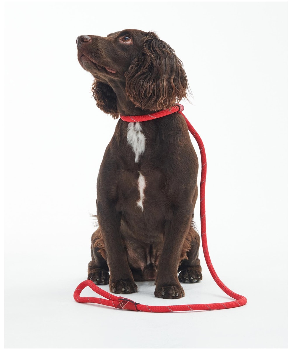 Barbour Dog Reflective Slip Lead