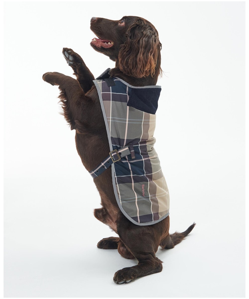 Barbour Wetherham Tartan Dog Coat Sale Online | website.jkuat.ac.ke