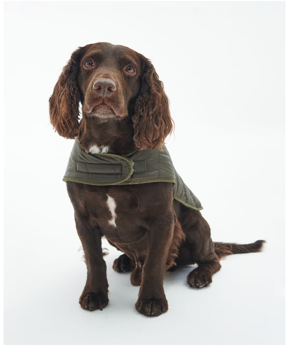 Barbour quilted discount dog coat olive