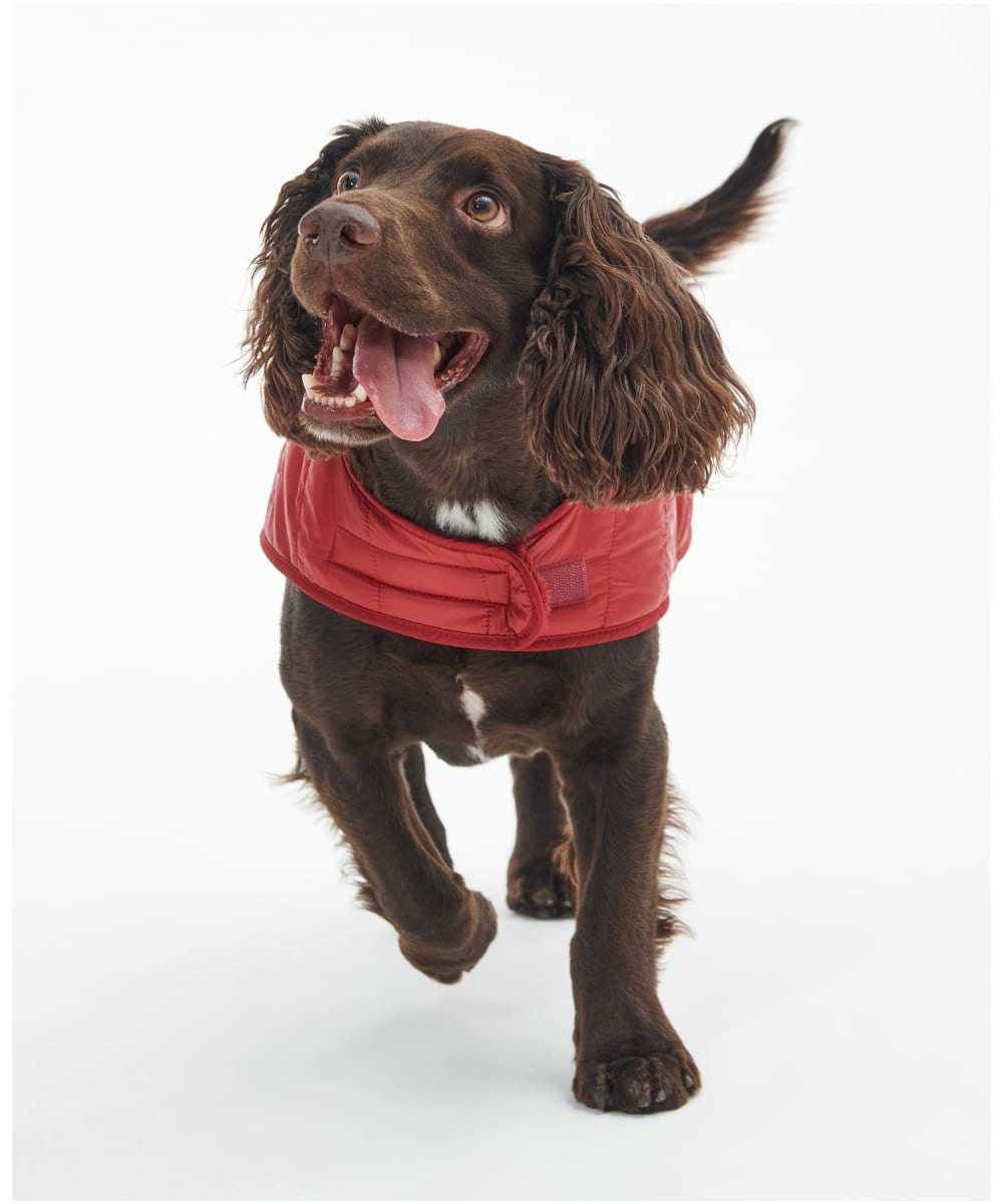Barbour baffle quilted dog coat on sale