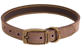 All Dog Products