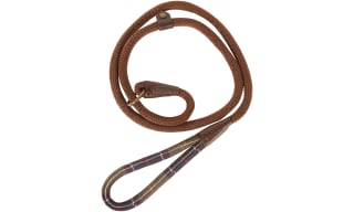 Dog Leads