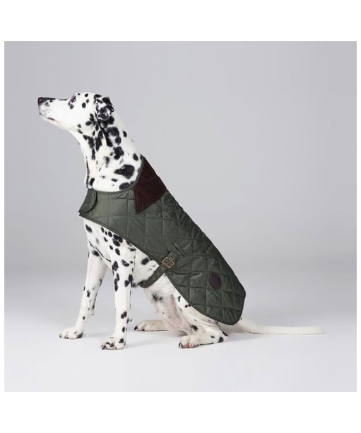 Barbour Quilted Dog Coat
