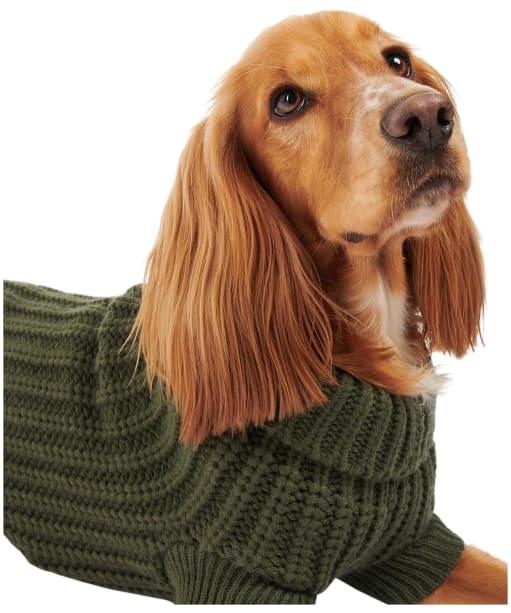 Barbour Saltburn Dog Jumper
