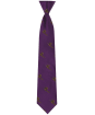 Men's Soprano Small Pheasants Tie - Purple