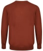 Men's Alan Paine Millbreck V-Neck Sweater - Rust