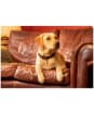 Le Chameau Leather Dog Collar - Marron Fonce