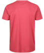 Men’s Tentree Treeblend Classic T-Shirt - DESERT RED HTH