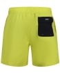 Men's Oakley All Day 16" Beach Shorts - Sulphur