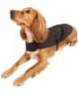 Barbour Waxed Cotton Dog Coat - Rustic