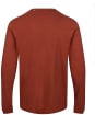 Men’s Globe Every Damn Day LS Tee - Dark Walnut