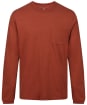 Men’s Globe Every Damn Day LS Tee - Dark Walnut