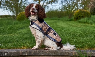 Barbour Dog Products