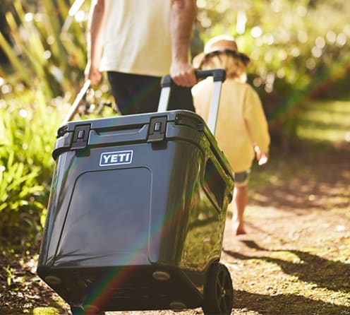 Best cool best sale box for festivals