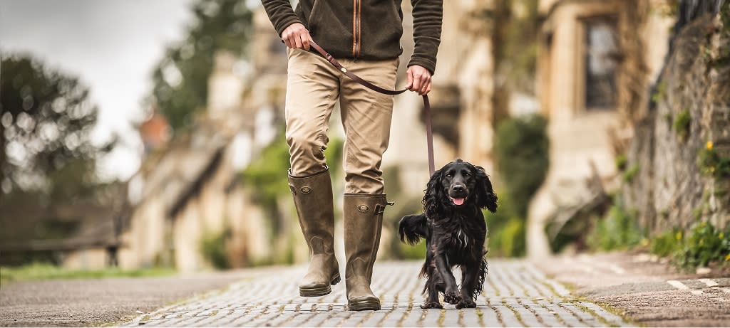 Dog walking essentials main image - man walking cocker spaniel on a lead